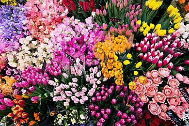 日本一首部游戏《拼图世界》上架Steam 30年PS名作